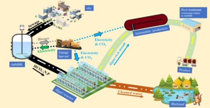 中國(guó)科學(xué)院重慶綠色智能技術(shù)研究院在污水處理新型工藝研究方面取得進(jìn)展