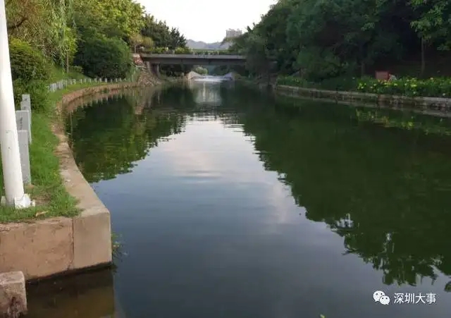 河水水體微生物原位修復(fù)技術(shù)